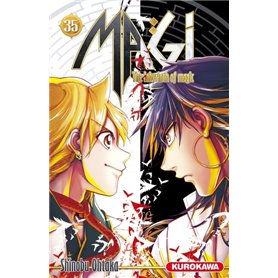 Magi - The Labyrinth of Magic - tome 35