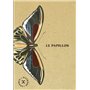 Le Papillon