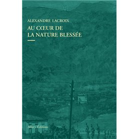 Au coeur de la nature blessee - Apprendre a voir les paysages du XXIe siecle