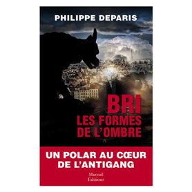 BRI les formes de l'ombre