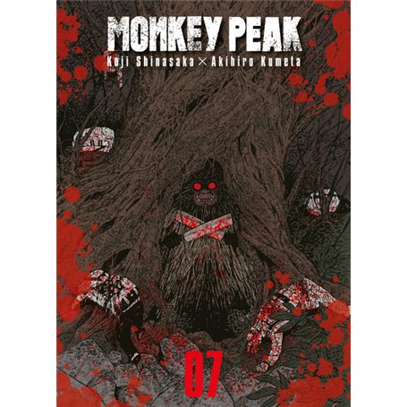 Monkey Peak T07