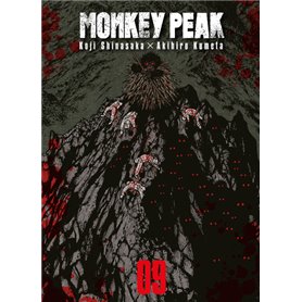 Monkey Peak T09