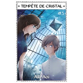 Tempête de cristal T03