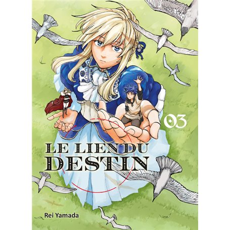 Le lien du destin T03 - FIN