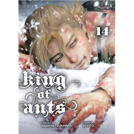 King of ants T14