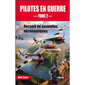 Pilotes en guerre - tome 2
