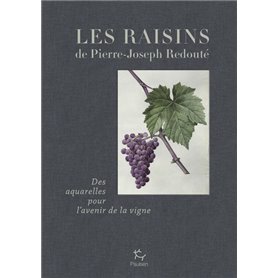 Les raisins de Jean-Joseph Redouté