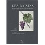 Les raisins de Jean-Joseph Redouté