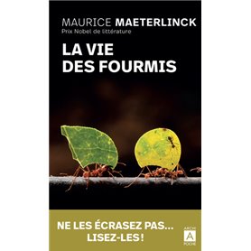 La vie des fourmis