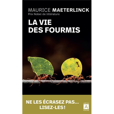 La vie des fourmis