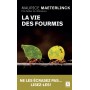 La vie des fourmis