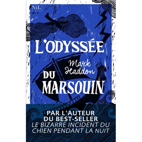 L'Odyssée du marsouin