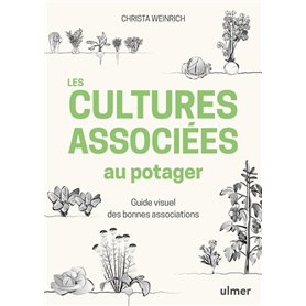 Les cultures associées au potager - Guide visuel des bonnes associations