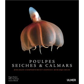 Poulpes, seiches et calmars