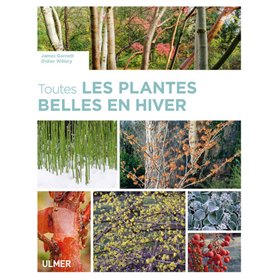 Toutes les plantes belles en hiver