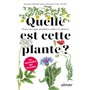 Quelle est cette plante ?