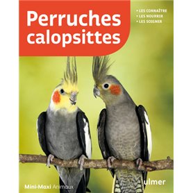 Perruches calopsittes