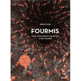 Fourmis - Vie et intelligence collective d'une colonie