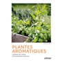 Plantes aromatiques - Comment les cultiver et les entretenir facilement