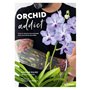 Orchid addict