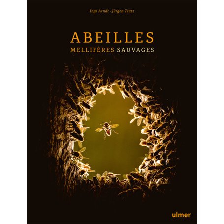 Abeilles mellifères sauvages