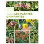 Toutes les plantes grimpantes