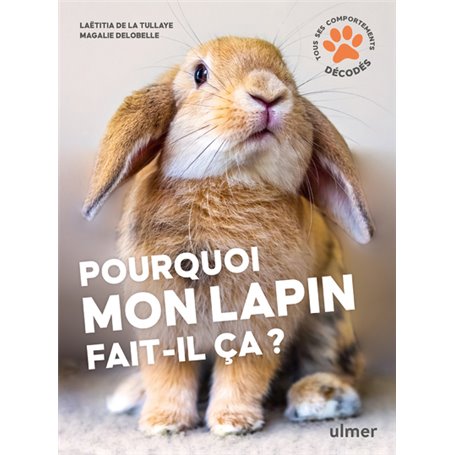 Pourquoi mon lapin fait-il ça ?