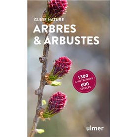 Arbres et arbustes