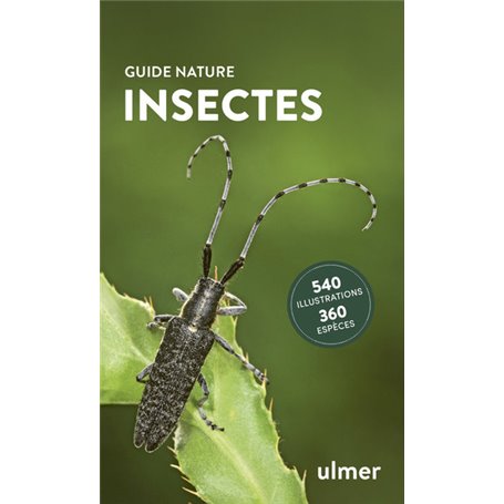 Insectes