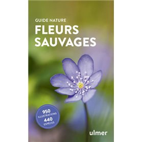 Fleurs sauvages