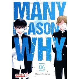 Many Reasons Why - Tome 6 (VF)