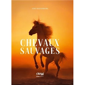 Chevaux Sauvages