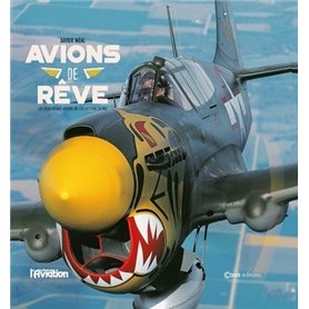 Avions de rêve - Les plus beaux avions de collection en vol