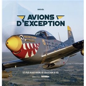 Avions d'exception - Les plus beaux avions de collection en vol