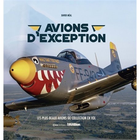 Avions d'exception - Les plus beaux avions de collection en vol