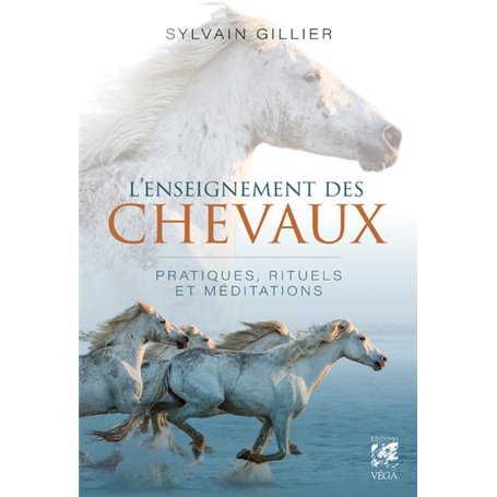 L'enseignement des chevaux - Pratiques, rituels et méditations