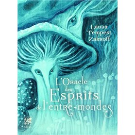 Coffret l'Oracle des esprits de l'entre-mondes