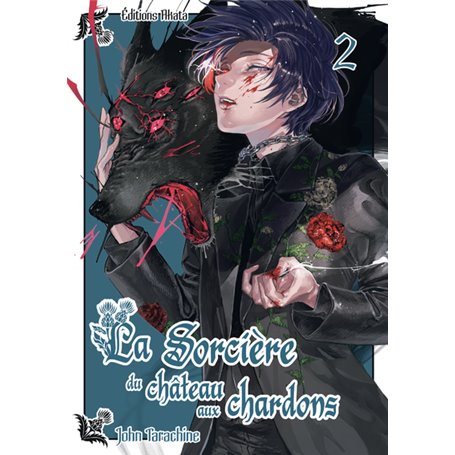 La sorcière du château aux chardons - Tome 2