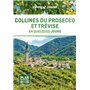 Collines du Prosecco et Trévise en quelques jours 1ed