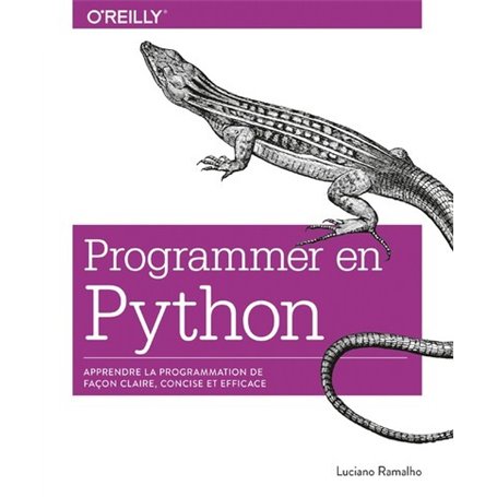 Programmer avec Python