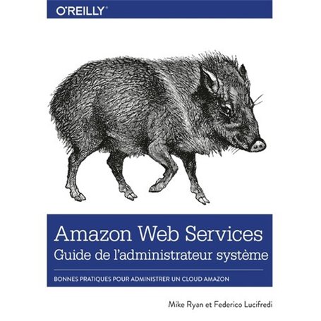 Amazon Web Services Guide de l'administrateur système