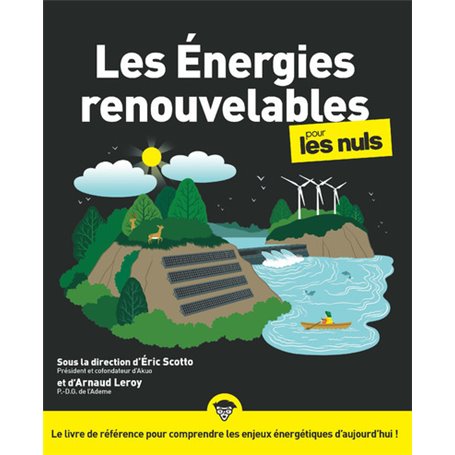 Les Énergies renouvelables pour les Nuls