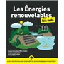 Les Énergies renouvelables pour les Nuls