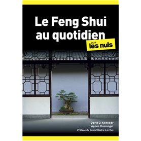 Le Feng shui au quotidien poche pour les Nuls, 2ème édition
