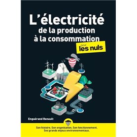 L'électricité, de la production à la consommation pour les nuls