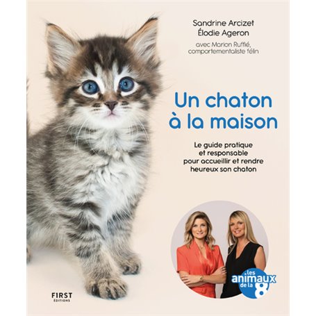 Un chaton à la maison - Le guide pratique et responsable pour acceuillir et rendre heureux son chato