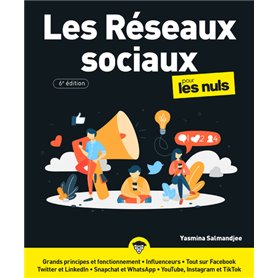 Les Réseaux sociaux Pour les Nuls, 6e