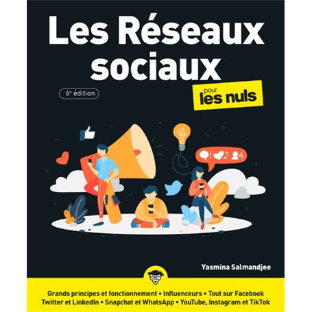 Les Réseaux sociaux Pour les Nuls, 6e