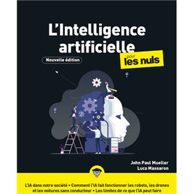 L'Intelligence artificielle Pour les Nuls, NE