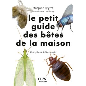 Petit guide d'observation des petites bêtes de la maison